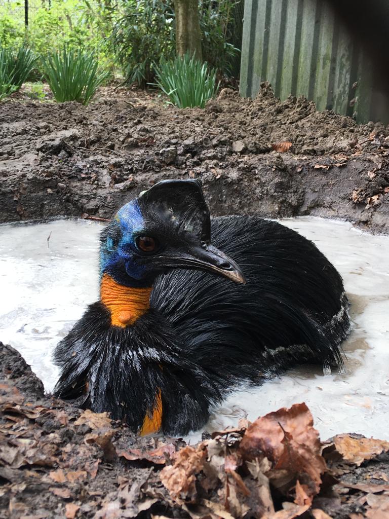 lekker in het water